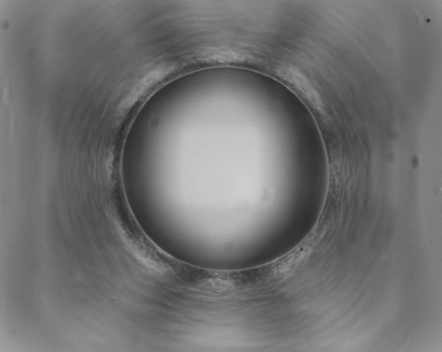 X0000088590159200705251158