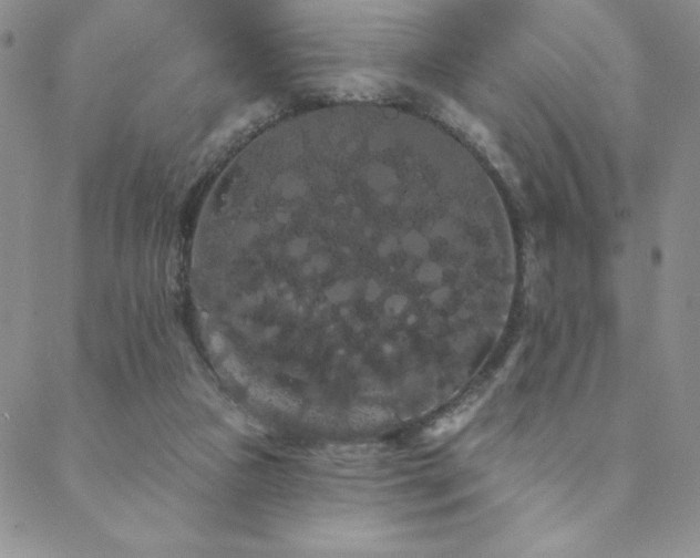 X0000088590161200705251158