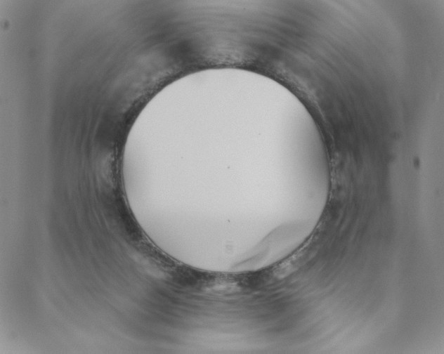 X0000088590162200705251158