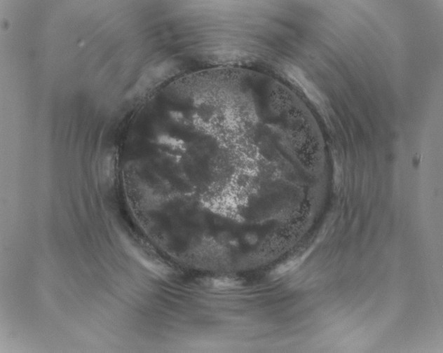 X0000088590165200705251158