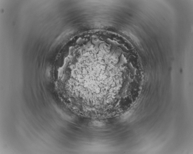 X0000088590166200705251158