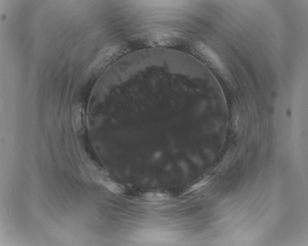 X0000088590169200705251158