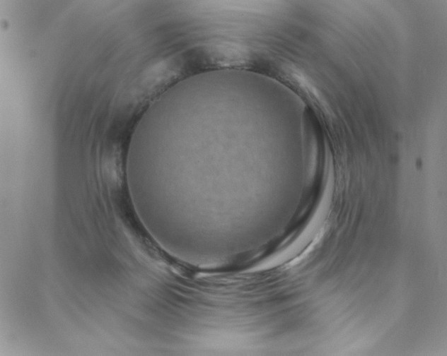 X0000088590170200705251158