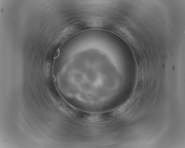 X0000088590171200705251158