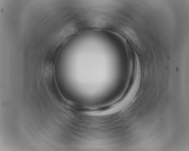 X0000088590172200705251158