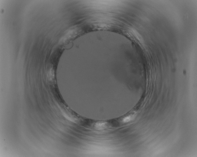 X0000088590173200705251158