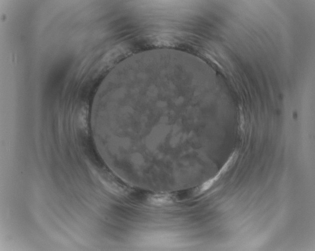 X0000088590175200705251158