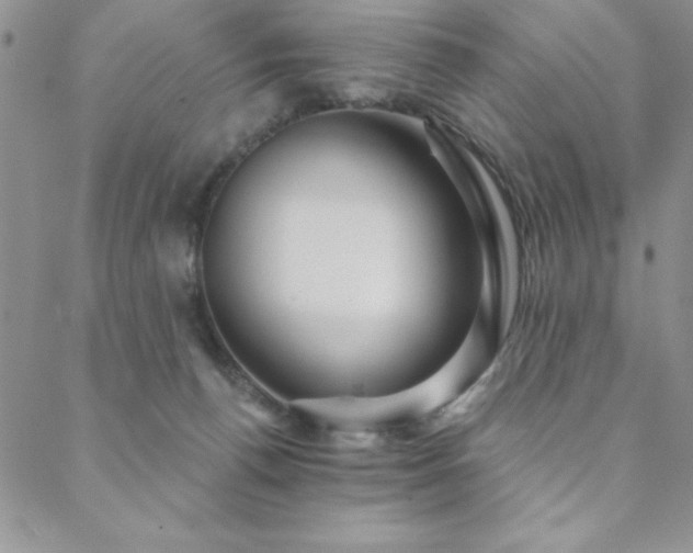 X0000088590176200705251158