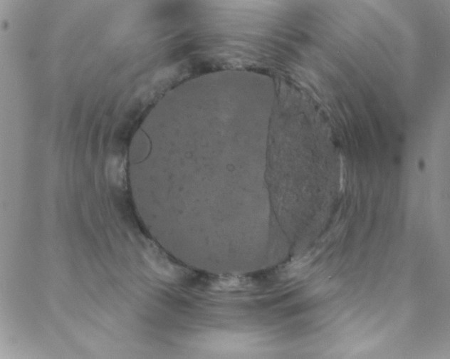 X0000088590177200705251158