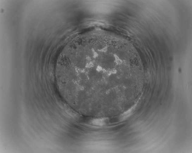 X0000088590178200705251158