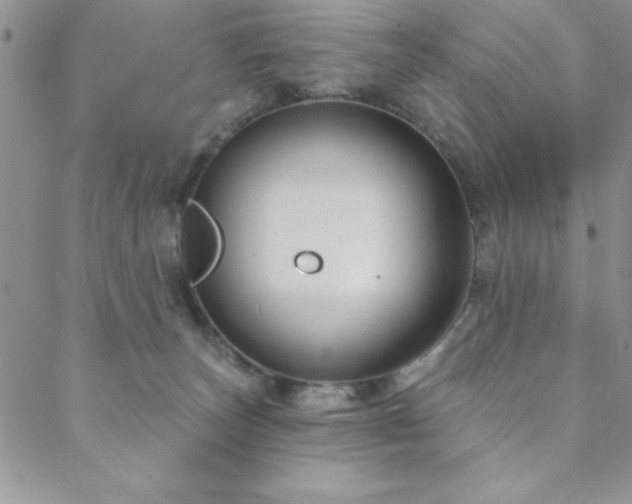 X0000088590179200705251158