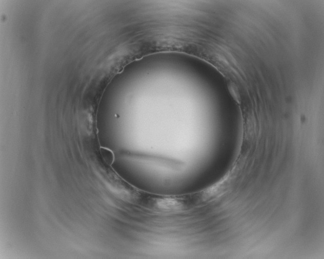 X0000088590183200705251158