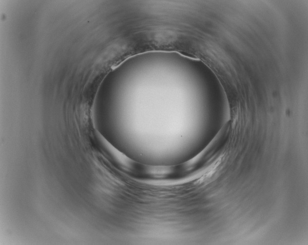 X0000088590184200705251158