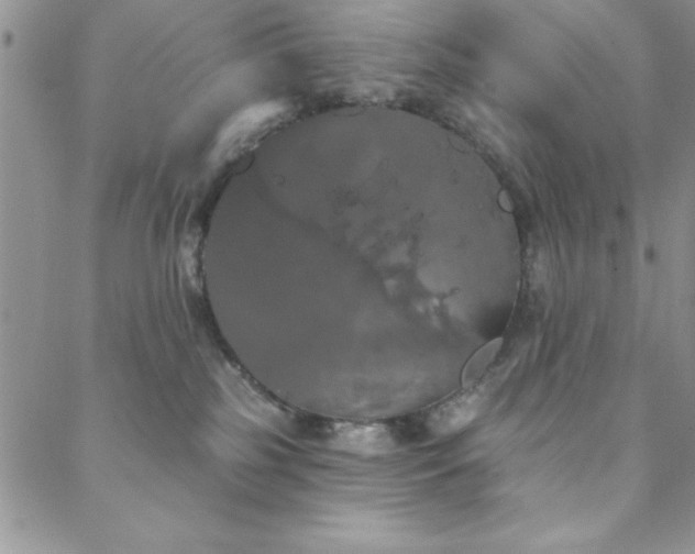 X0000088590185200705251158