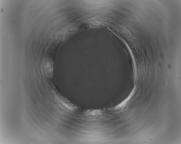 X0000088590186200705251158