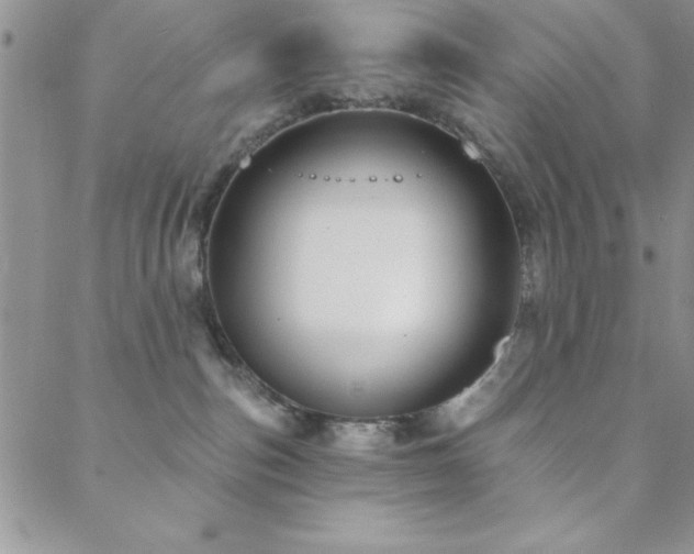 X0000088590187200705251158