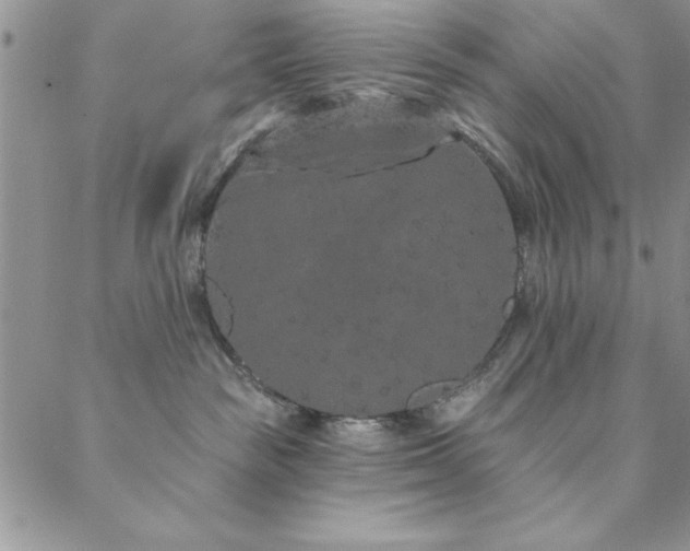 X0000088590189200705251158