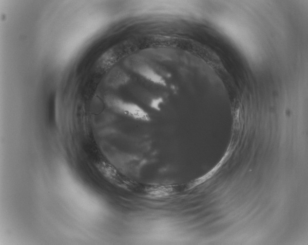 X0000088590191200705251158