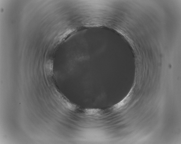 X0000088590192200705251158