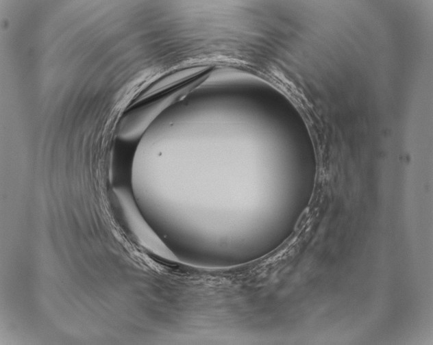 X0000088590193200705251158