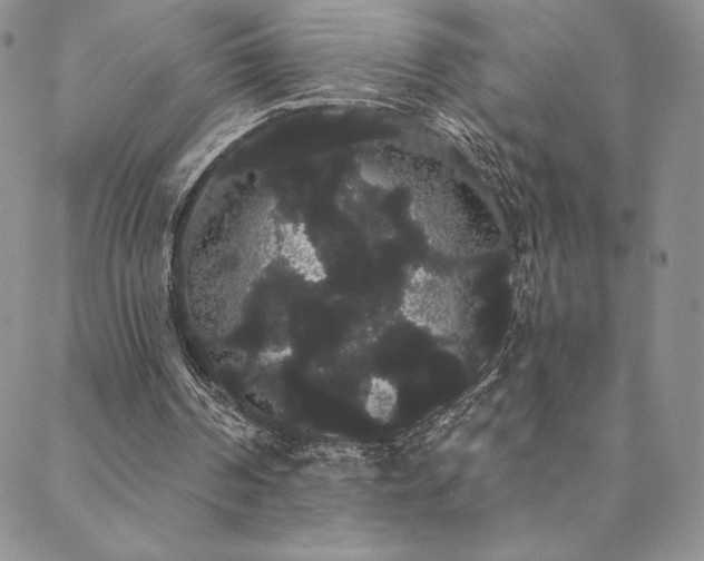 X0000088590194200705251158