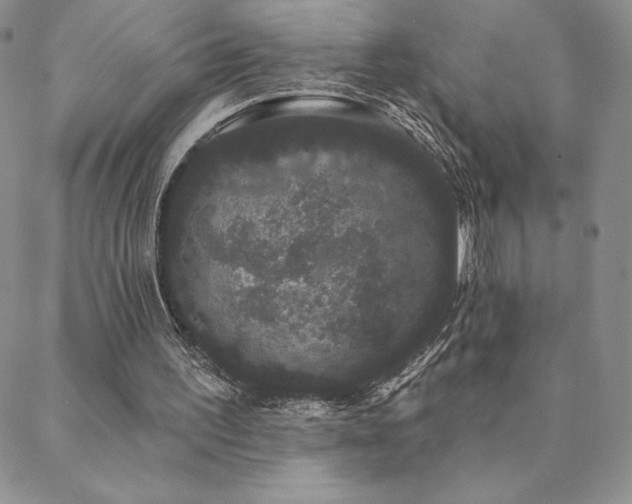 X0000088590195200705251158