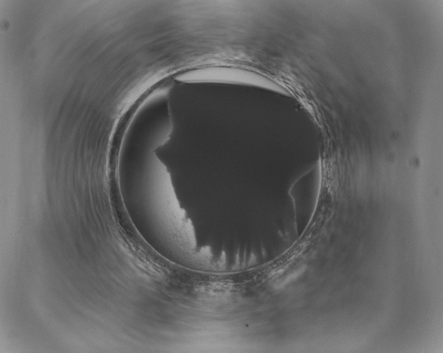 X0000088590196200705251157