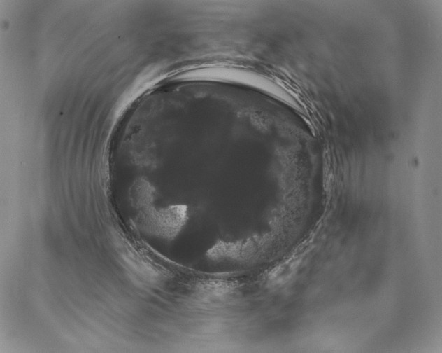 X0000088590198200705251157