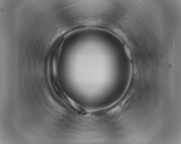 X0000088590201200705251157