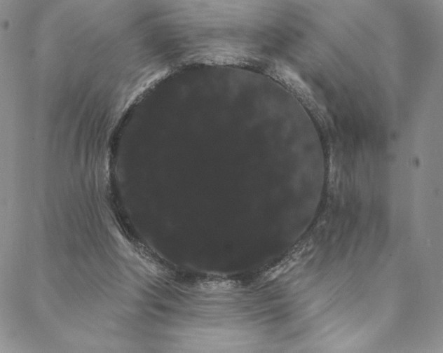 X0000088590202200705251157