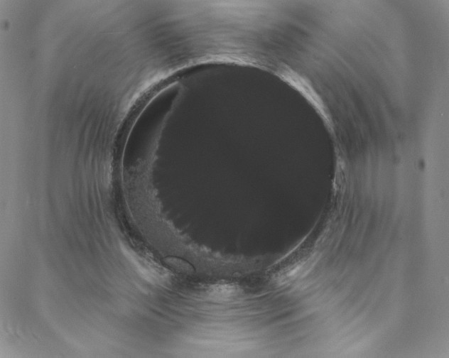 X0000088590204200705251157