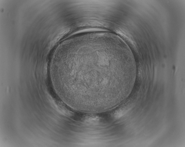 X0000088590206200705251157