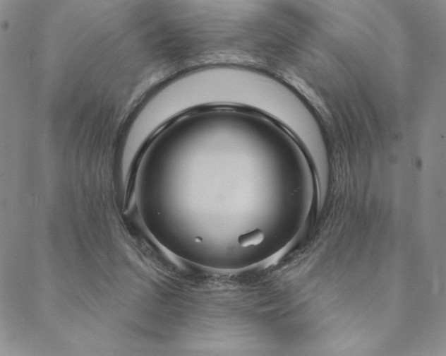 X0000088590207200705251157