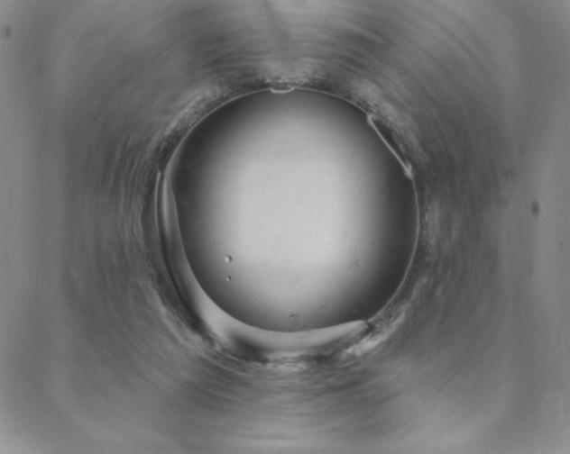 X0000088590209200705251157