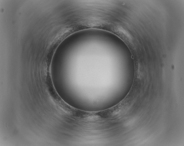 X0000088590210200705251157