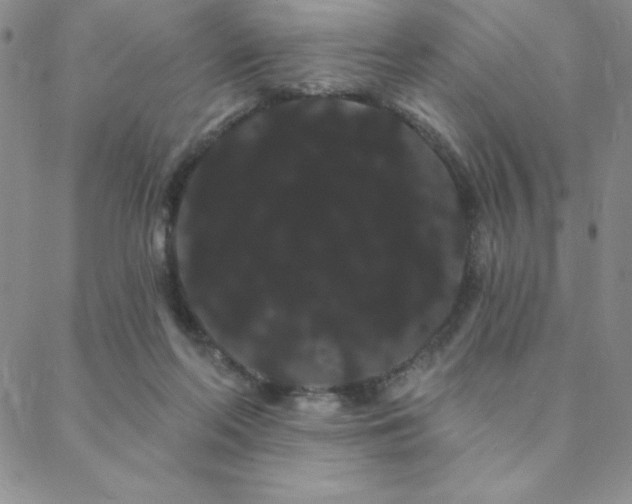 X0000088590214200705251157