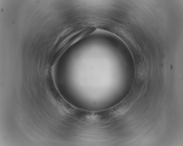 X0000088590216200705251157