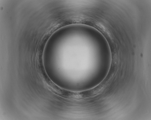 X0000088590217200705251157