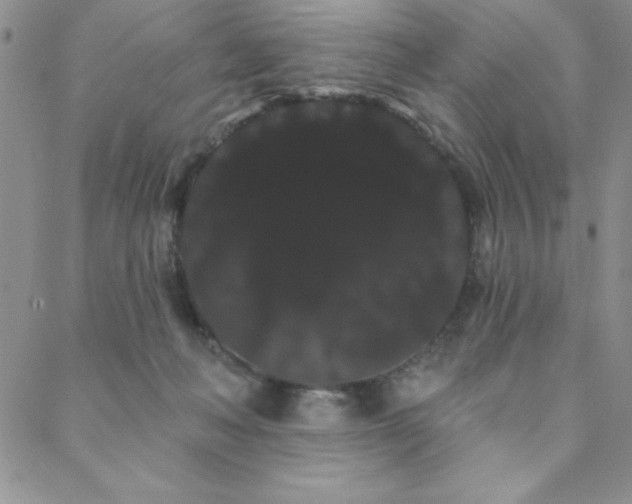 X0000088590222200705251157