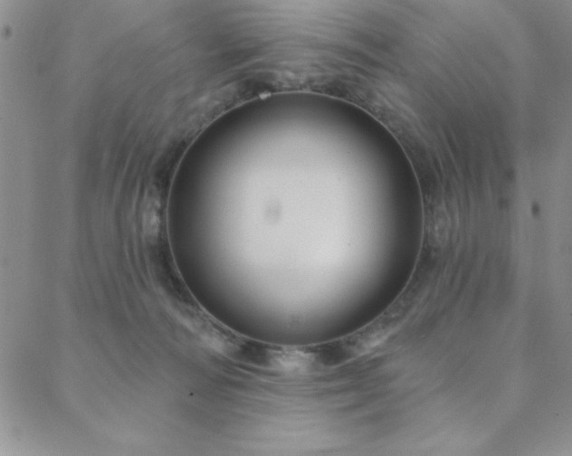 X0000088590226200705251157