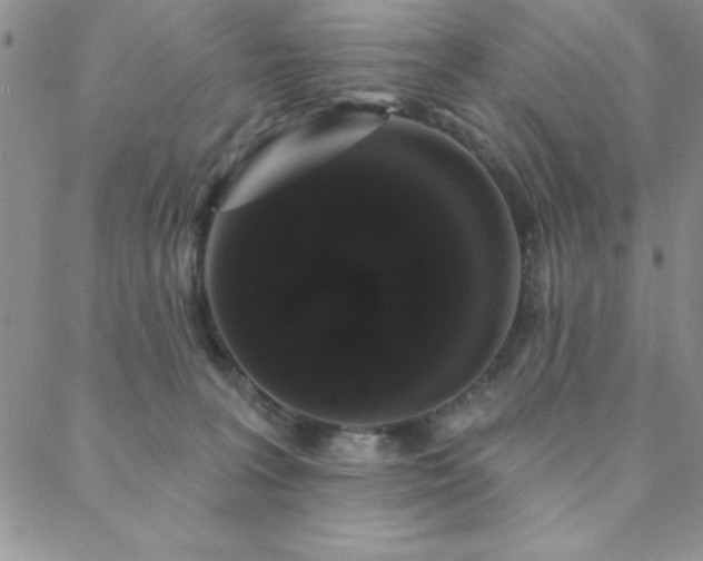 X0000088590227200705251157