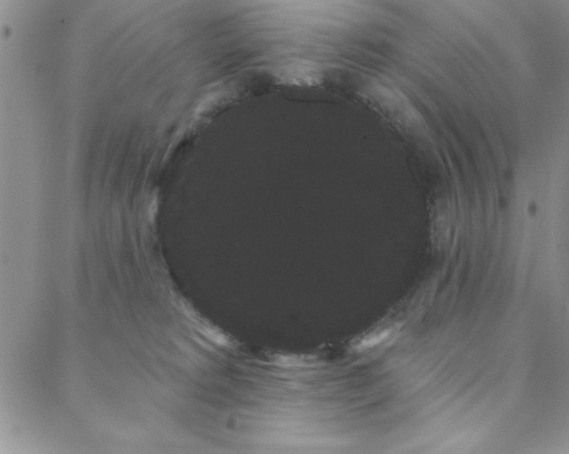 X0000088590229200705251157