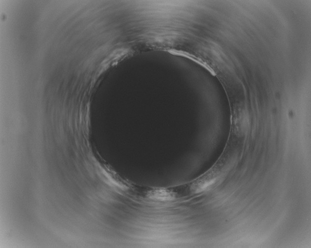 X0000088590231200705251157