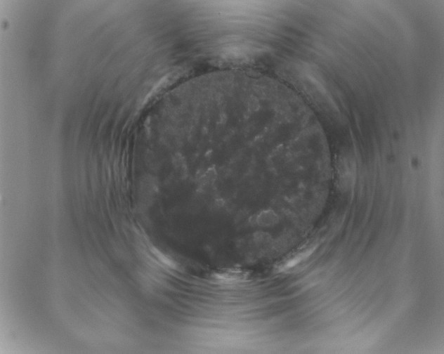 X0000088590232200705251157