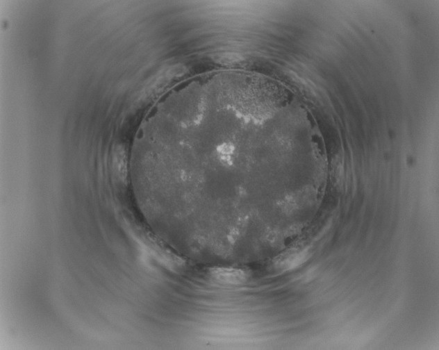 X0000088590234200705251157