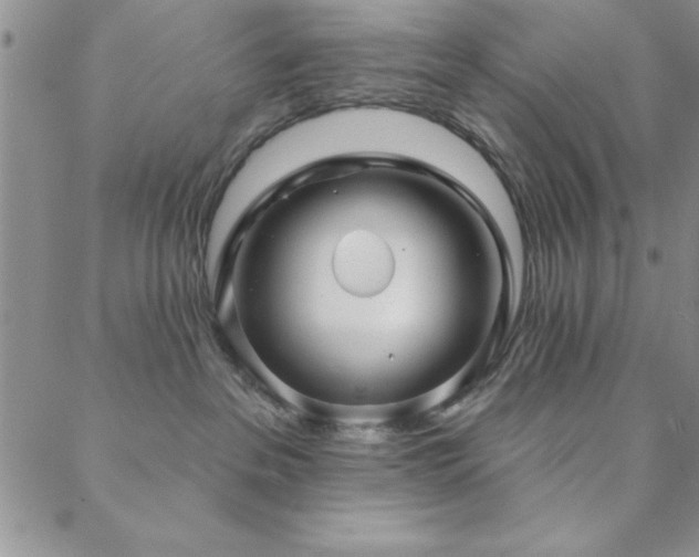 X0000088590237200705251157