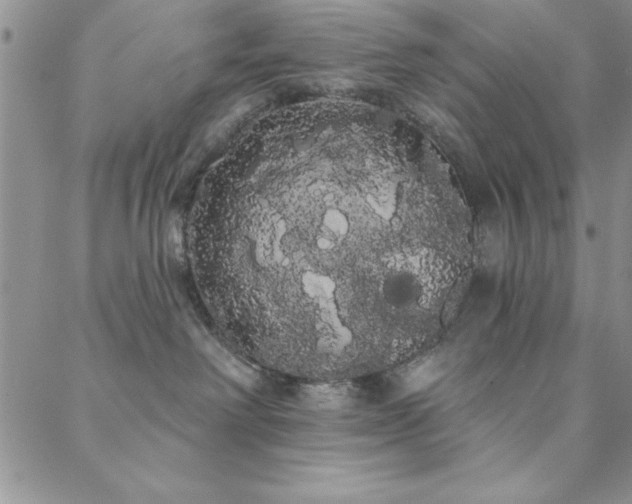 X0000088590238200705251157