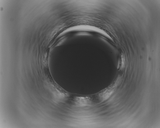 X0000088590239200705251157