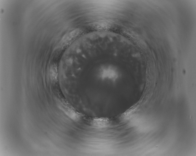 X0000088590240200705251157