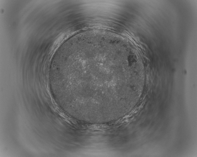 X0000088590241200705251156